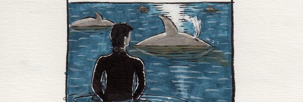 the_dolphin_migration_shapeshftr